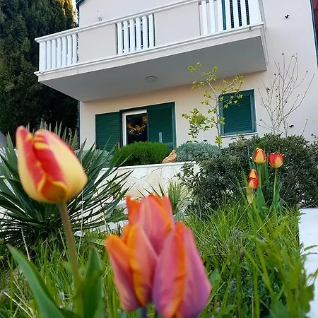 Cro Behar 2 * 스베티 페타르