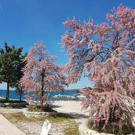 Cro Behar 2 Sveti Petar (Zadar)