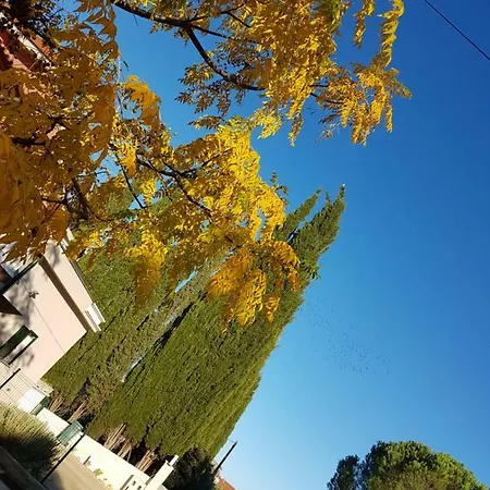 Cro Behar 2 Apartment