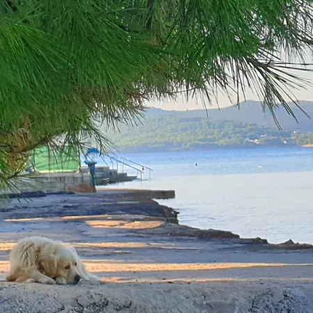 Cro Behar 2 Apartament